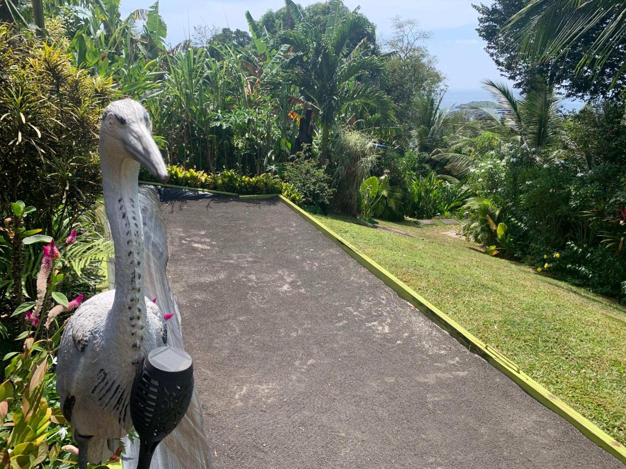 Les Ilets Caraibes Vue Mer Bouillante Exterior photo
