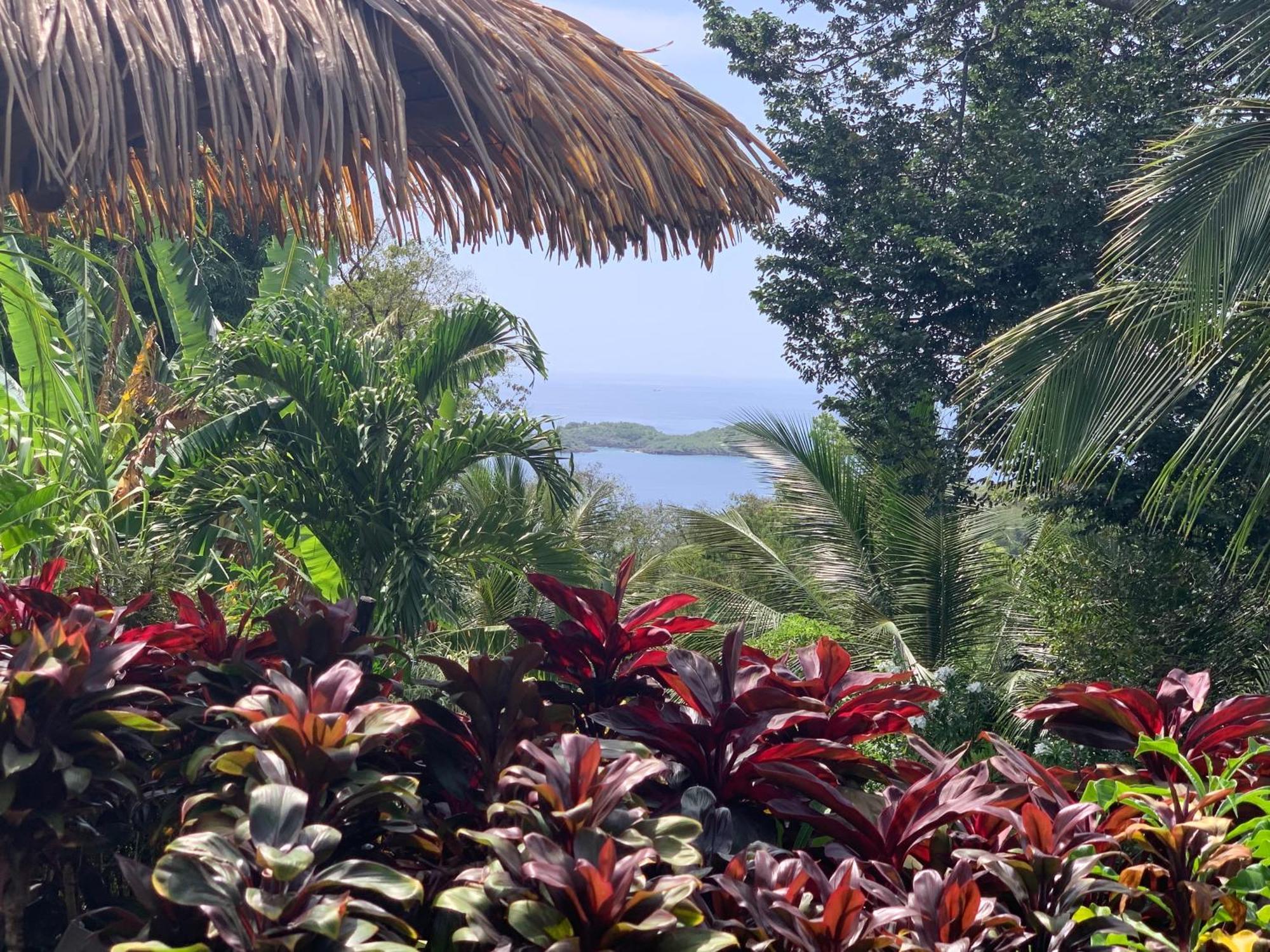 Les Ilets Caraibes Vue Mer Bouillante Exterior photo